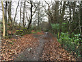 Footpath at Broomrig