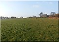 Meadow near Windhill Gate Farm