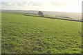 Field near Claytown Cross