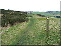 Waymark on Queensbury FP41