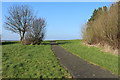 Path at Corsehill Mount