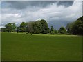 Parkland in front of Dunlop House