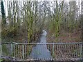 Markeaton Brook