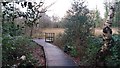 Boardwalk in Moseley Bog