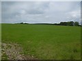 Improved pasture, Gabroc Hill