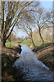 River Lark downstream of the former Fornham Lock