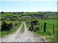 Track leading to a former quarry site off the Ballintemple Road