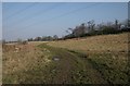 Farm track near Bull Wood