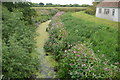 River Parrett