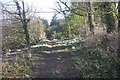 NU1725 : Woodland path, Ellingham by Richard Webb