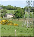 Derelict houses between Dairy Lane and Aghincurk Road