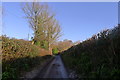 An icy morning on Bowgrove Road