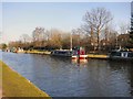 Emma on the Bridgewater Canal