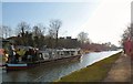 Queenie  on the Bridgewater Canal