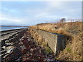 Sea defences near Balintraid Pier