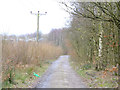 Path on Western Edge of Three Sisters Recreation Area, Bryn