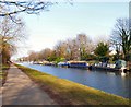 Narrowboats on the Bridgewater Canal