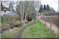 Footpath beside the Town Lade