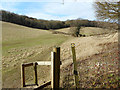 The Chiltern Way at Sheepridge