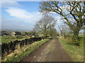 Rodknoll Lane near Nether Rodknoll Farm