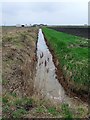 TL6386 : Drainage Ditch by Keith Evans