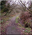 From path to track near Cemetery Road, Maesteg