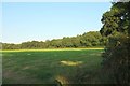 Field near Lanhydrock Hotel