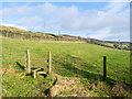 Footpath across field