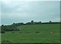 Drumlin overlooking the A3 on the eastern outskirts of Middleton