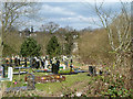 Part of Islington and Camden Cemeteries