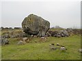 A huge boulder at Trwyn Y Fuwch/Little Orme, Penrhyn Bay