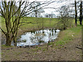 Small pond, Friary Park