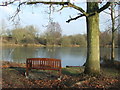 Bench With A View