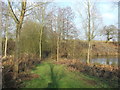 Footpath And Bridge