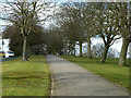 Uphill path, Oak Hill Park