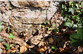 Benchmark behind ivy on corner of barn conversion, Colburn Lane