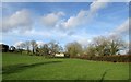 Field by the A381