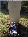 Holy Trinity, High Hurstwood: churchyard (vii)