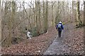 Path by Ladhope Burn, Galashiels