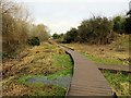 Lye Valley Nature Reserve