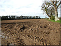 Field north of Bolwick Hall