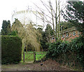 Water tower in Norwich Road, Aylsham