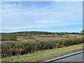 View west from Wagon Road