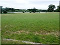 Looking over the ha-ha at Knepp Park