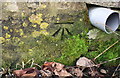 Benchmark on Whitehill Farm outbuilding