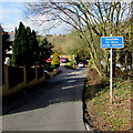 Bryn Celyn, Maesteg