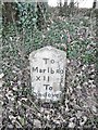 Old Milestone by the A338, Aughton