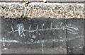 Animal chalked on pavement, Mann Street, Hastings