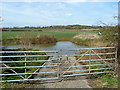 Private ford across River Roding