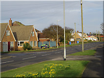 TA3426 : Holmpton Road, Withernsea by Paul Harrop